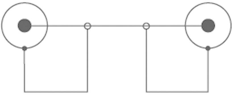 SpeaKa Professional SP-7870272 Cinch-RCA audio Adaptateur [1x Cinch-RCA mâle - 1x Cinch-RCA mâle] noir-1