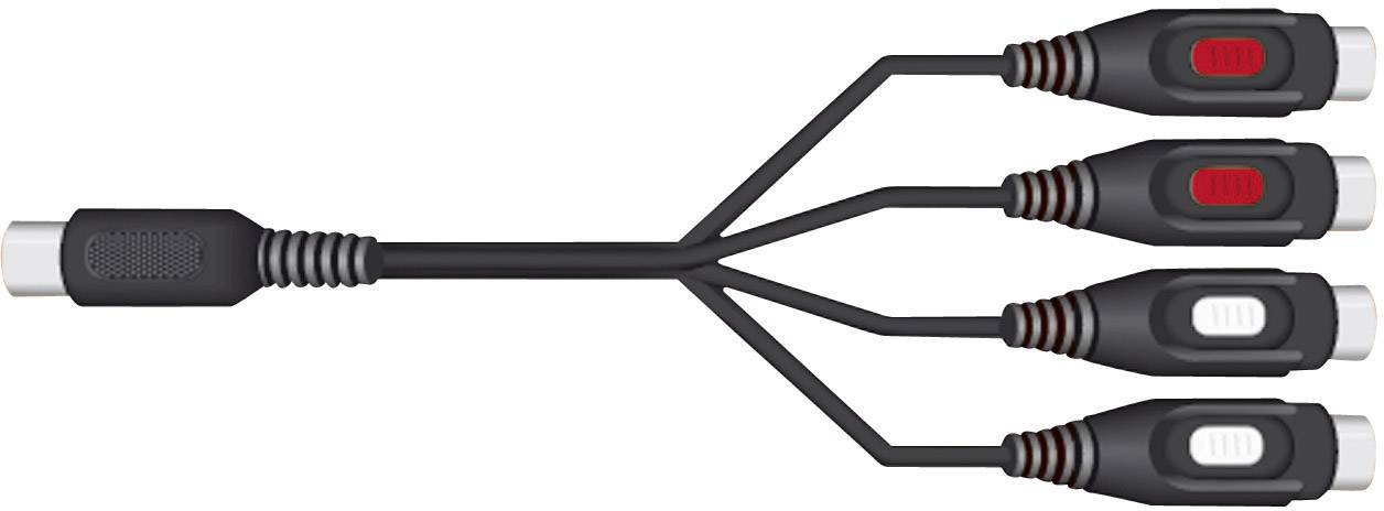 Câble adaptateur SVHS vers 4 Cinch, composé d'une extrémité avec une seule fiche SVHS se divisant en quatre fiches Cinch.