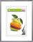 Une image montrant différentes tranches de fruits, notamment de pomme, d'orange et de citron vert, empilées les unes sur les autres sur un fond blanc.