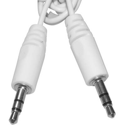 Deux câbles audio blancs avec fiches jack de 3,5 mm.