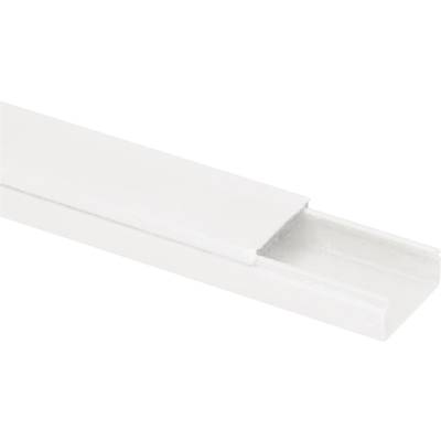 Heidemann 09952 Goulotte de câble  (L x l x H) 2000 x 30 x 15 mm 1 pc(s) blanc pur