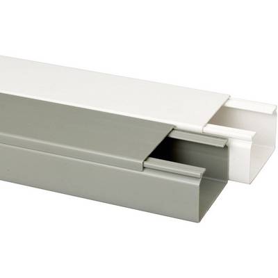 Des gaines techniques en plastique, l'une en blanc et l'autre en gris, disposées côte à côte, montrent leurs ouvertures destinées au passage des câbles.