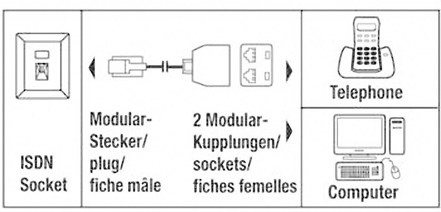 Adaptateur Y RJ45 mâle 8P4C RJ45 femelle 8P4C-2