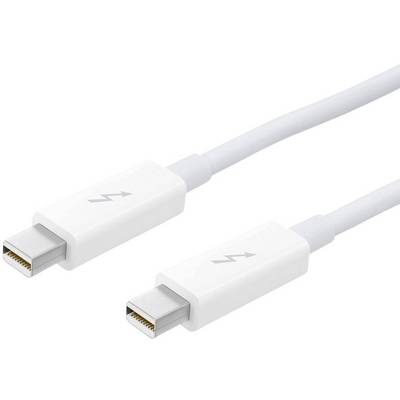 Un câble Thunderbolt blanc avec deux connecteurs identiques, reconnaissables au symbole de foudre sur chaque prise.