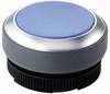 RAFI 1.30.270.021/2600 RAFIX 22 FS+ 1.30.270.021/2600 Bouton-poussoir actionneur plat bouton bleu 1 pc(s) Piece