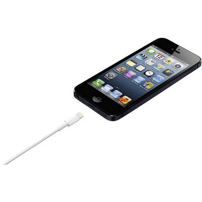Câble USB Second choix (emballage endommagé / manquant) 0.50 m blanc ME291ZM/A (B)-1