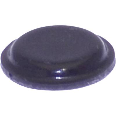 Pied d'appareil TOOLCRAFT PD2120SW autocollant, rond noir (Ø x H) 10.1 mm x 1.8 mm 1 pc(s)