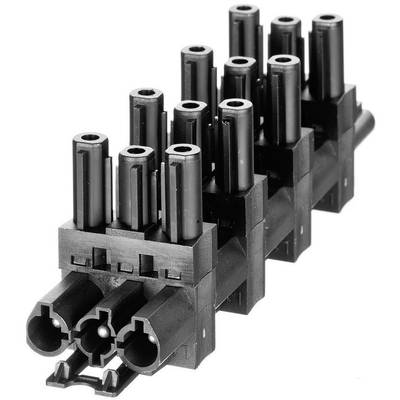 Adels-Contact;AC 166 GVT 6/ 3 WEISS MIT VS.;DistributeurAlimentation mâle- Alimentation femelle, Alimentation femelle, A-0