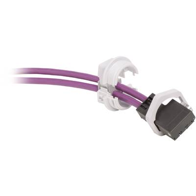 Passe-câbles Icotek KVT 40 PB 45205 divisible    gris 1 pc(s)