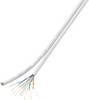 Câble réseau CAT 6 F/UTP TRU COMPONENTS CAT 6/CCA 1567360 8 x 2 x 0.196 mm² blanc 100 m