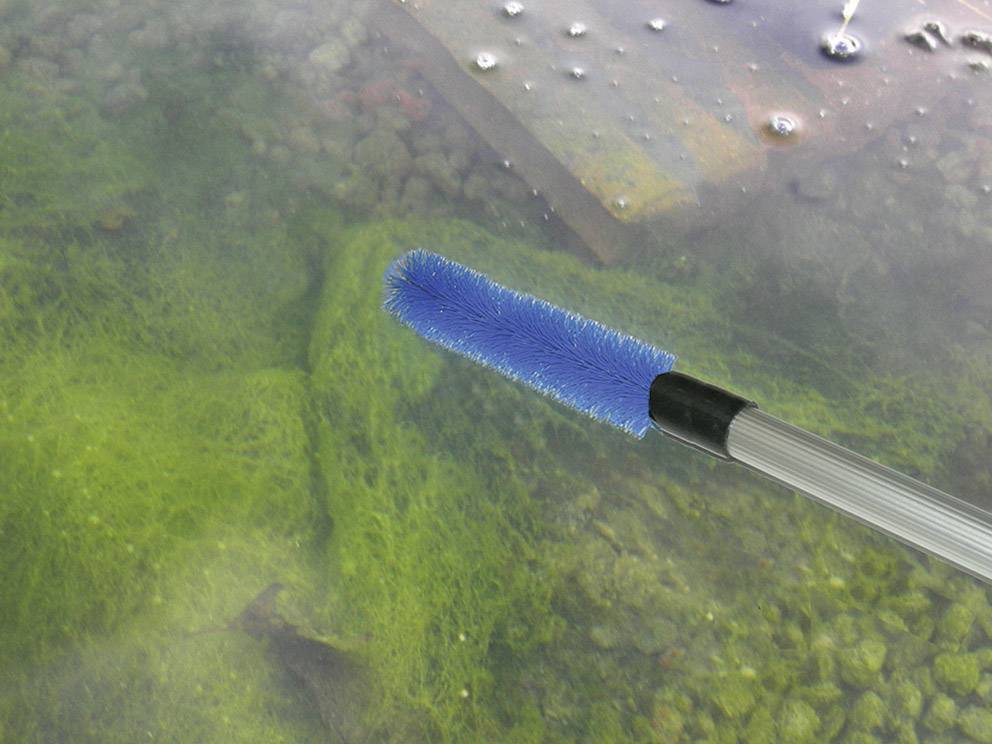 Une tête de brosse de nettoyage bleue au-dessus d'une surface d'eau partiellement recouverte d'algues ; des pierres sous-marines sont visibles.