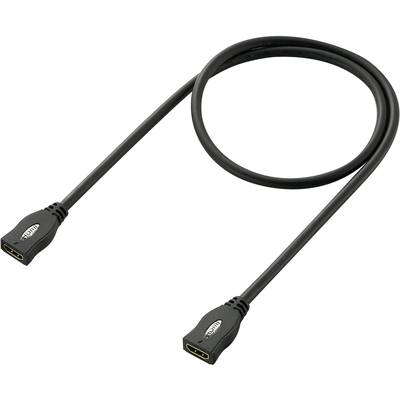 Un câble HDMI noir avec deux connecteurs, destiné à transmettre des signaux audio et vidéo entre des appareils.