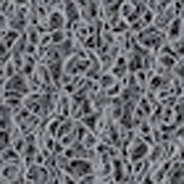 Des fibres grises et enchevêtrées forment un motif dense et irrégulier sur la surface.
