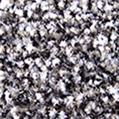 Tapis d'entrée anti-poussières Supreme noir/gris 1,75 m x 1,3 m COBA Europe SP010603