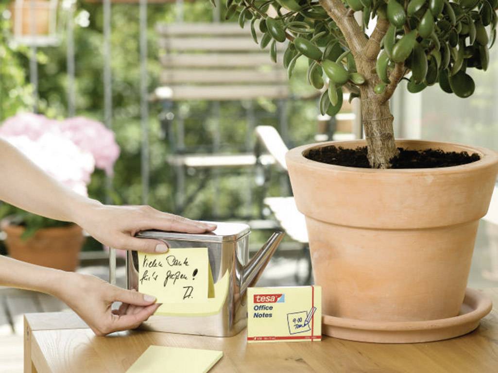 Une plante dans un pot en terre cuite sur une table, à côté d'une main qui colle un post-it jaune sur une boîte métallique. Un balcon est visible en arrière-plan.