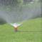 Surface enherbée est arrosée par un asperseur. Les jets d'eau se répartissent uniformément sur l'herbe verte du jardin.