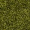 Herbes sauvages XL prairie NOCH 07110 prairie 40 g