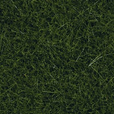 Gazon dense, uniformément vert, qui couvre entièrement le sol. Idéal pour une pelouse soignée et naturelle.