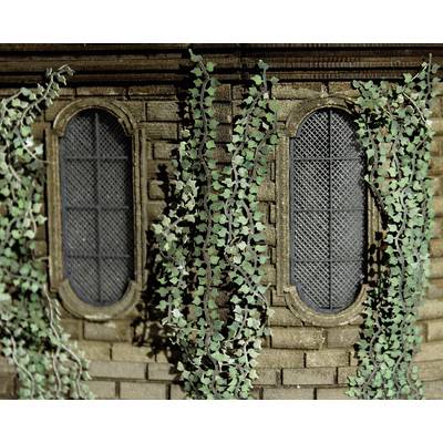Deux hautes fenêtres ovales dans un mur de pierre, encadrées de luxuriantes lianes vertes qui créent une atmosphère usée et naturelle.