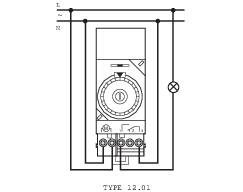 'Schéma de câblage pour type 12.01 : Appareil avec quatre bornes de connexion, raccordé à une source de courant et avec un symbole lumineux. Marqué en haut avec L et N.'