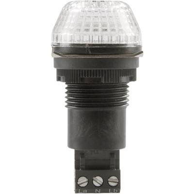 Avertisseur optique LED Auer Signalgeräte 800504313 230 - 240 V/AC lumière permanente, feu clignotant  IP65/67 1 pc(s)