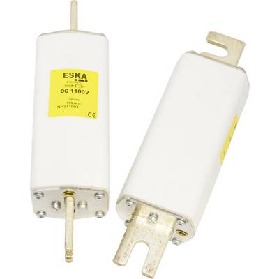 Deux fusibles blancs de marque 'ESKA' avec une étiquette jaune, marqués 'DC 1100V' et '10kA'. Ils possèdent des bornes de raccordement métalliques.