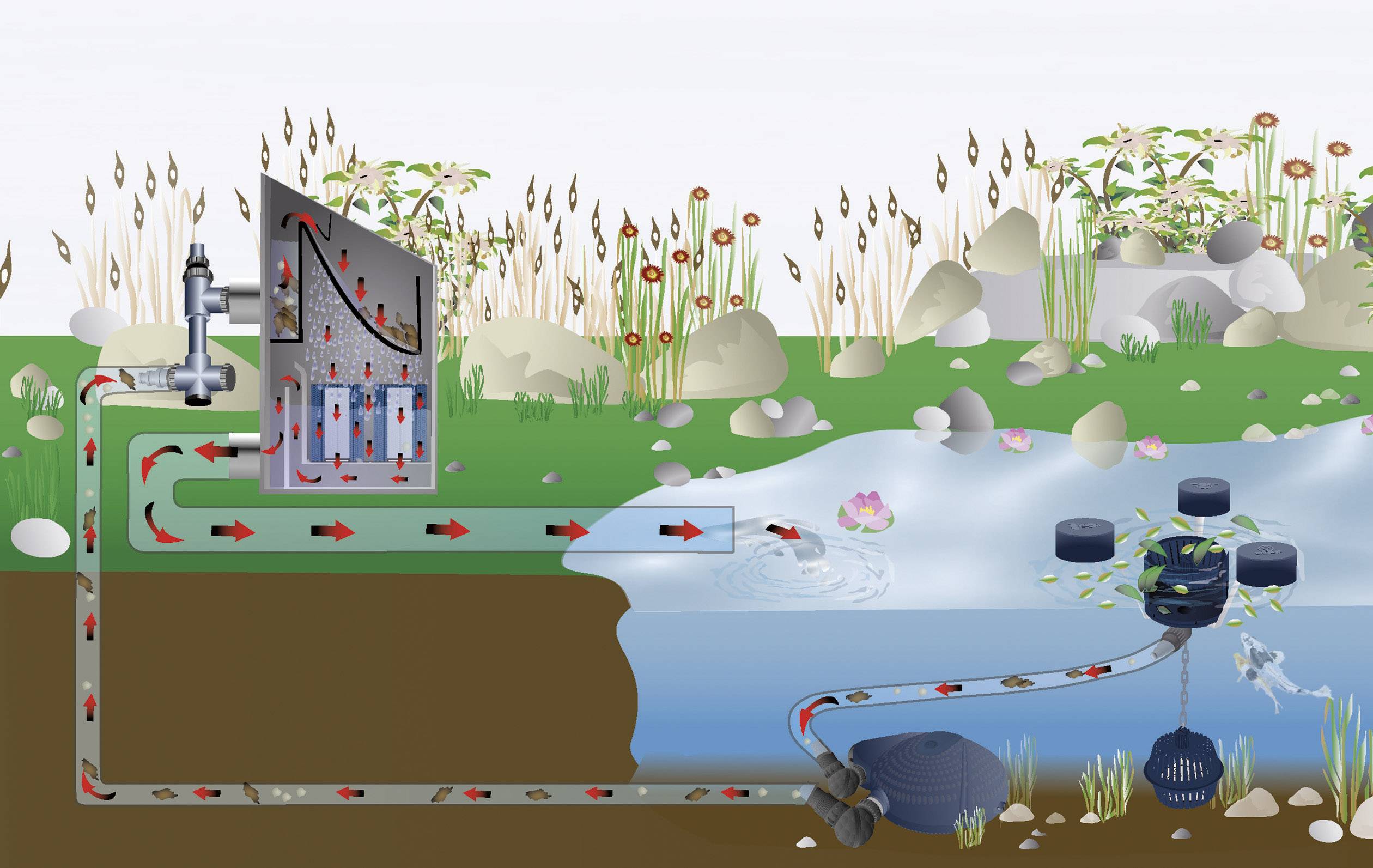 Illustration d'un système de filtration d'eau : l'eau s'écoule à travers différentes couches de filtration vers un plan d'eau bordé de plantes.