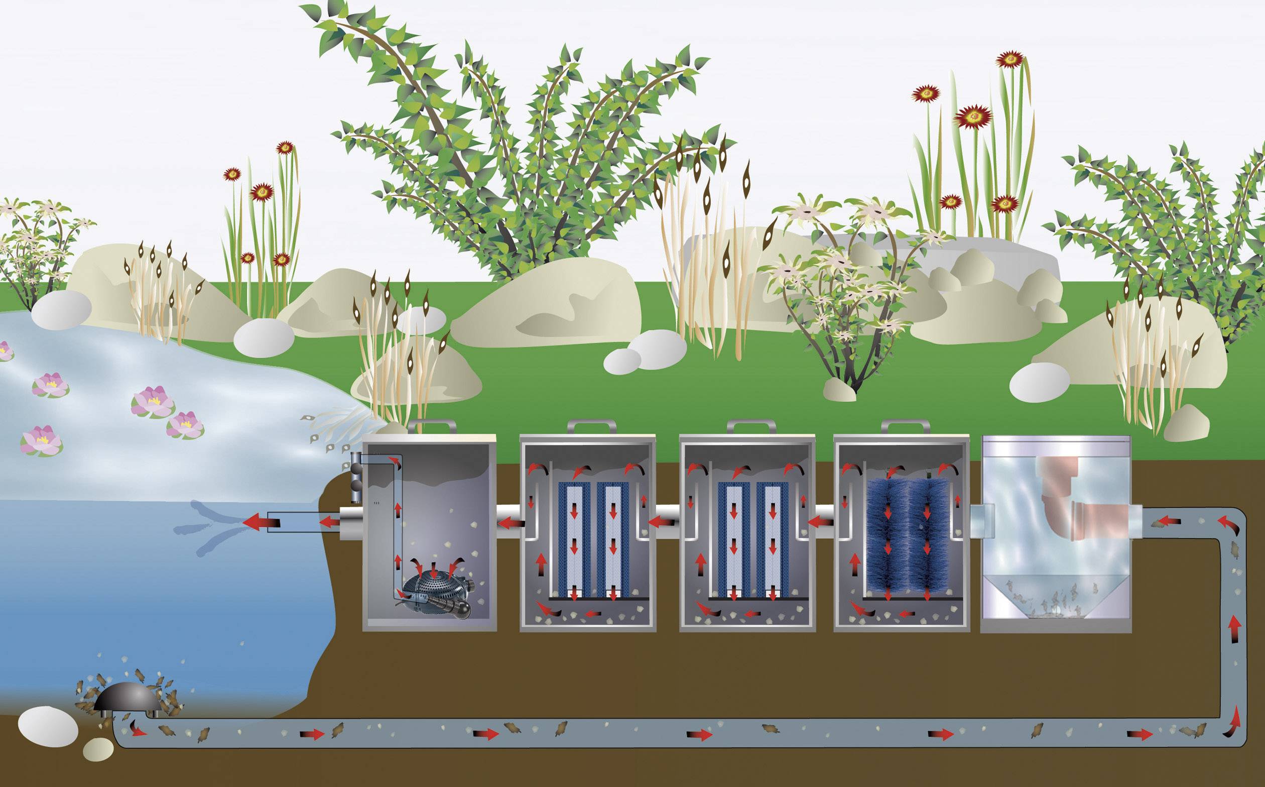 Diagramme d'une station d'épuration végétale : L'eau s'écoule à travers différentes chambres contenant des plantes qui filtrent et décomposent les polluants.