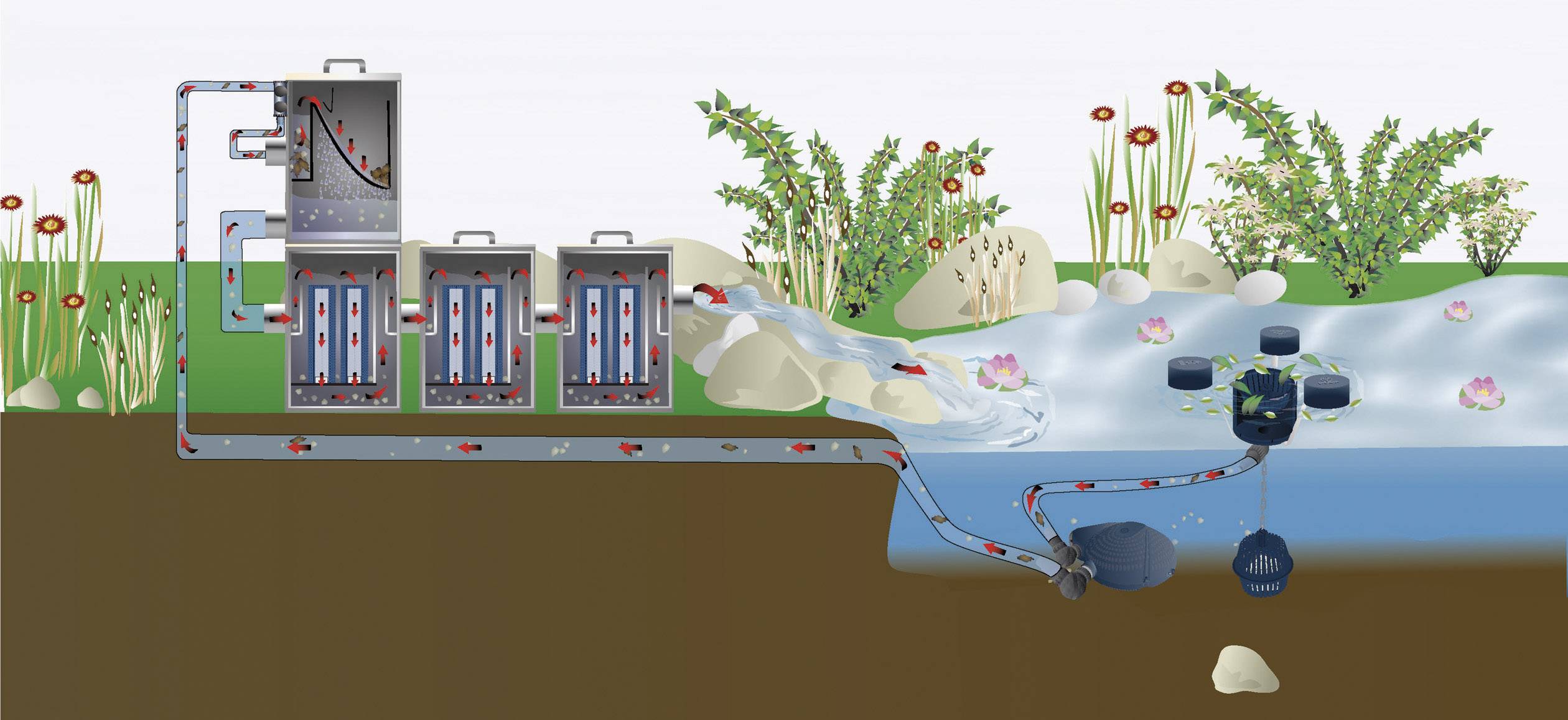 Un diagramme montre un système de filtration d'eau composé de trois filtres et d'une pompe qui nettoie et recircule l'eau d'un étang à travers des tuyaux.