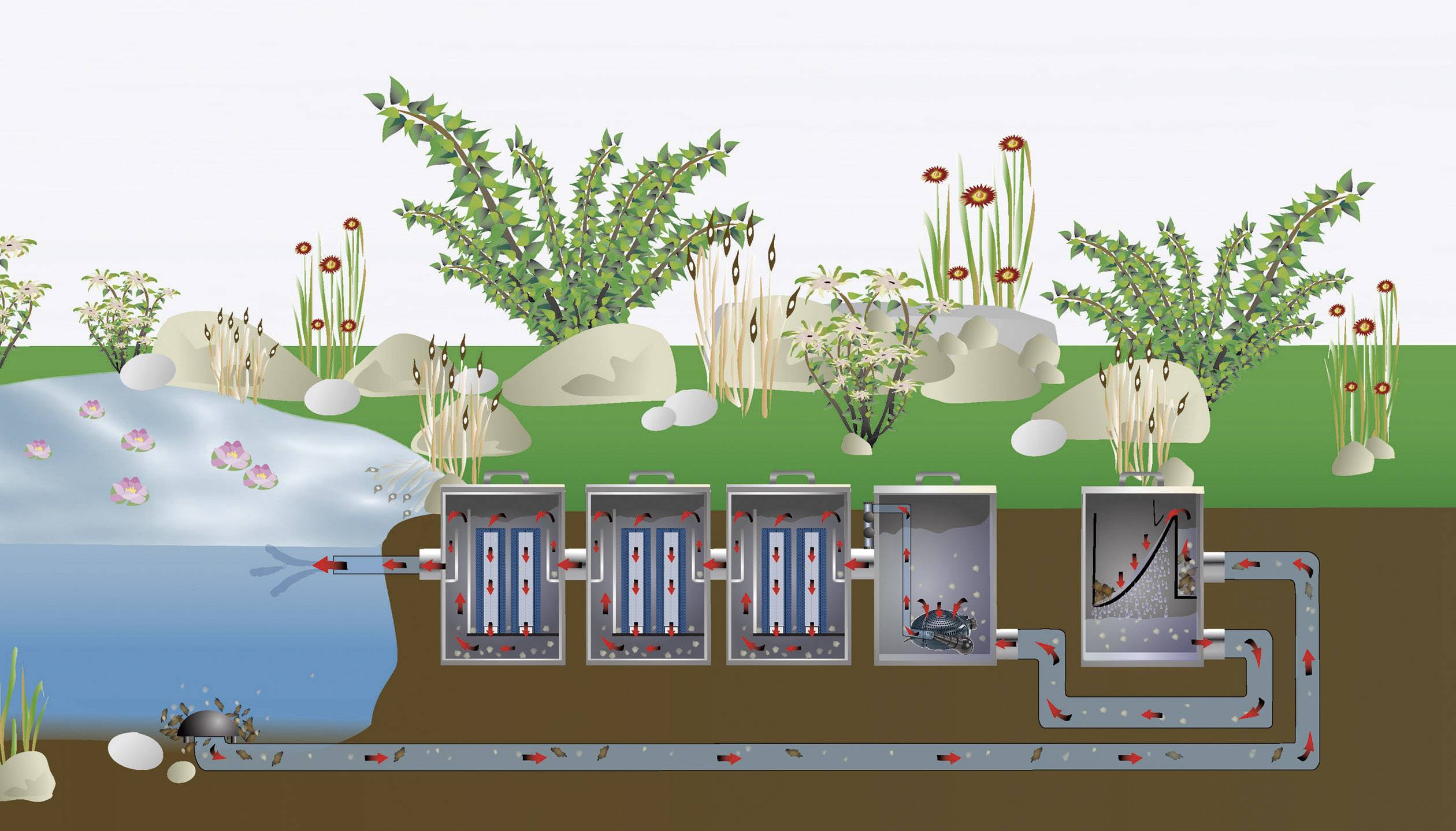 'Illustration d'un système de filtration de l'eau à plusieurs chambres, entouré de plantes, avec un cours d'eau et des flèches montrant le flux.'
