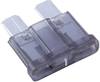 Fusible plat standard 1 A ESKA 340117 340.117 noir 1 pc(s)