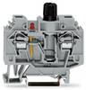 Bloc de jonction à fusibles WAGO 282-128/281-413 13 mm ressort de traction Affectation: L gris 40 pc(s)