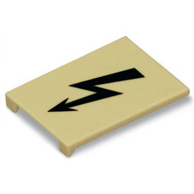 Un panneau rectangulaire beige avec un symbole de flèche de foudre noir indique un danger ou une mise en garde, probablement un risque électrique.