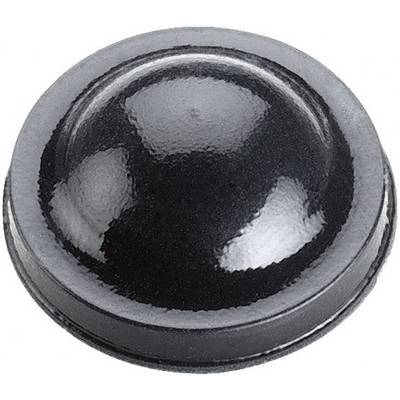 Un bouclier noir circulaire unique à la forme bombée et à la surface brillante sur un fond blanc.
