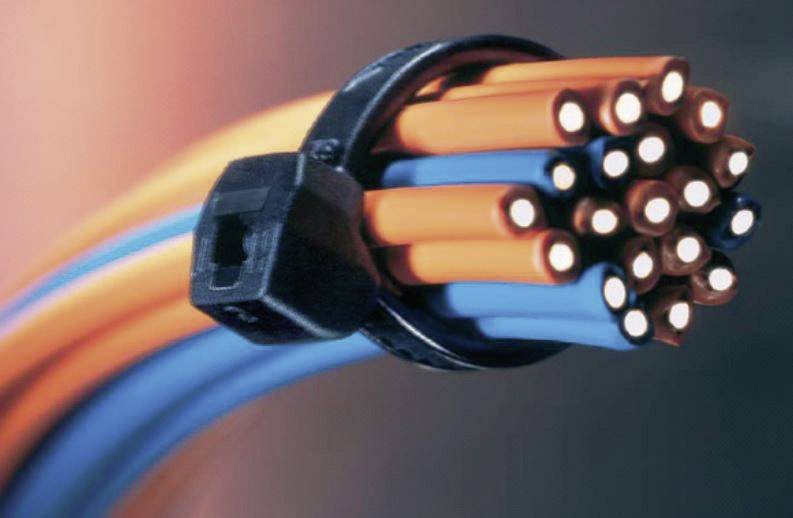Gros plan de câbles à fibre optique regroupés, maintenus par un serre-câble. Différentes couleurs mettent en valeur les câbles.