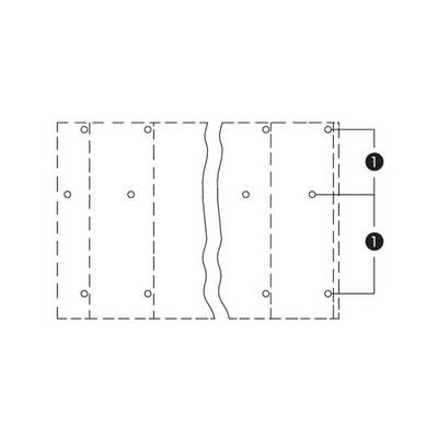 Le diagramme montre la disposition des vis dans une plaque de bois. Les points importants sont marqués du numéro '1', des lignes relient ces points.