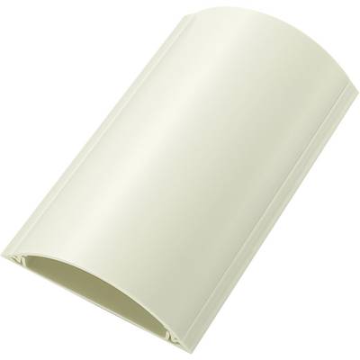 Protège-câbles PVC incolore TRU COMPONENTS TC-RDAR90AMWWM203 1593131 Nombre de canaux: 1 Longueur 1000 mm 1 pc(s)-0