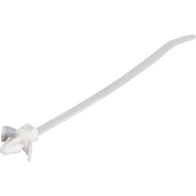 Un serre-câble en plastique blanc, légèrement courbé, prêt à être utilisé pour regrouper ou attacher des câbles.
