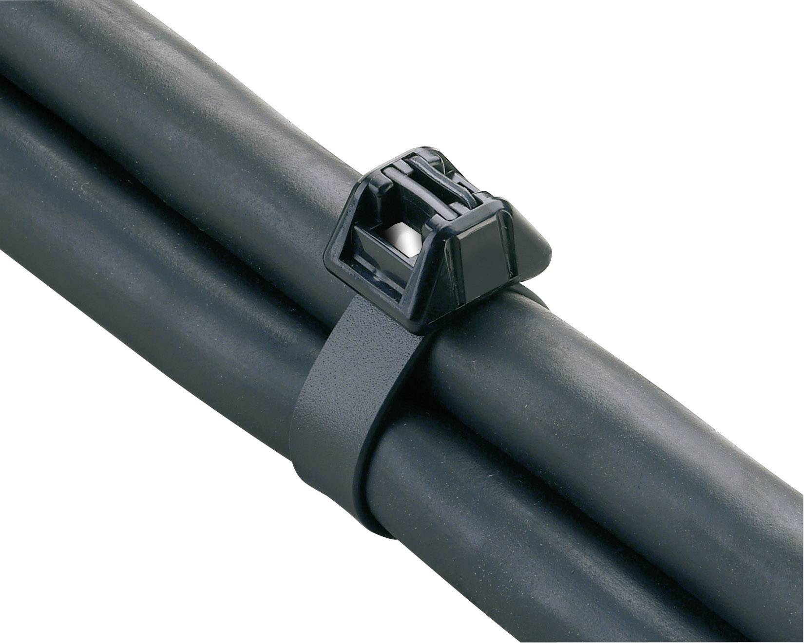 Panduit BSTC-127 DT4EH-L0 Serre-câble 343 mm 13 mm noir avec tête double 1 pc(s)-1