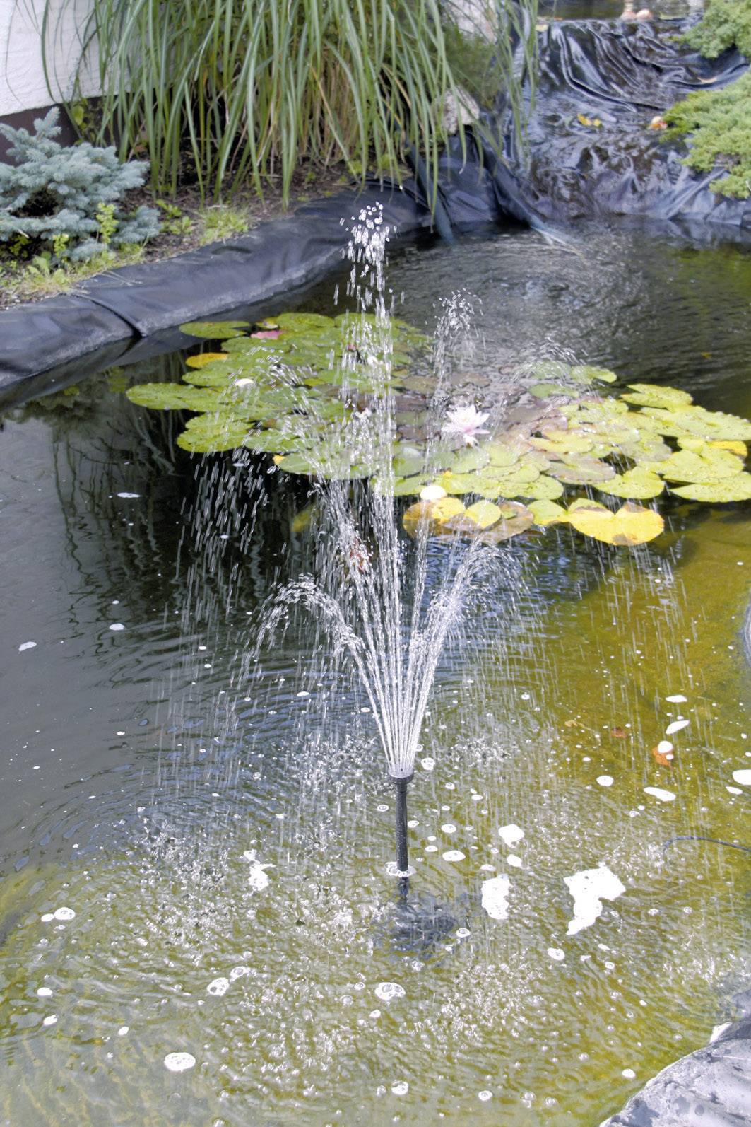Fontaine dans un bassin de jardin avec des nénuphars et entourée de plantes. L'eau jaillit en arc depuis la fontaine.