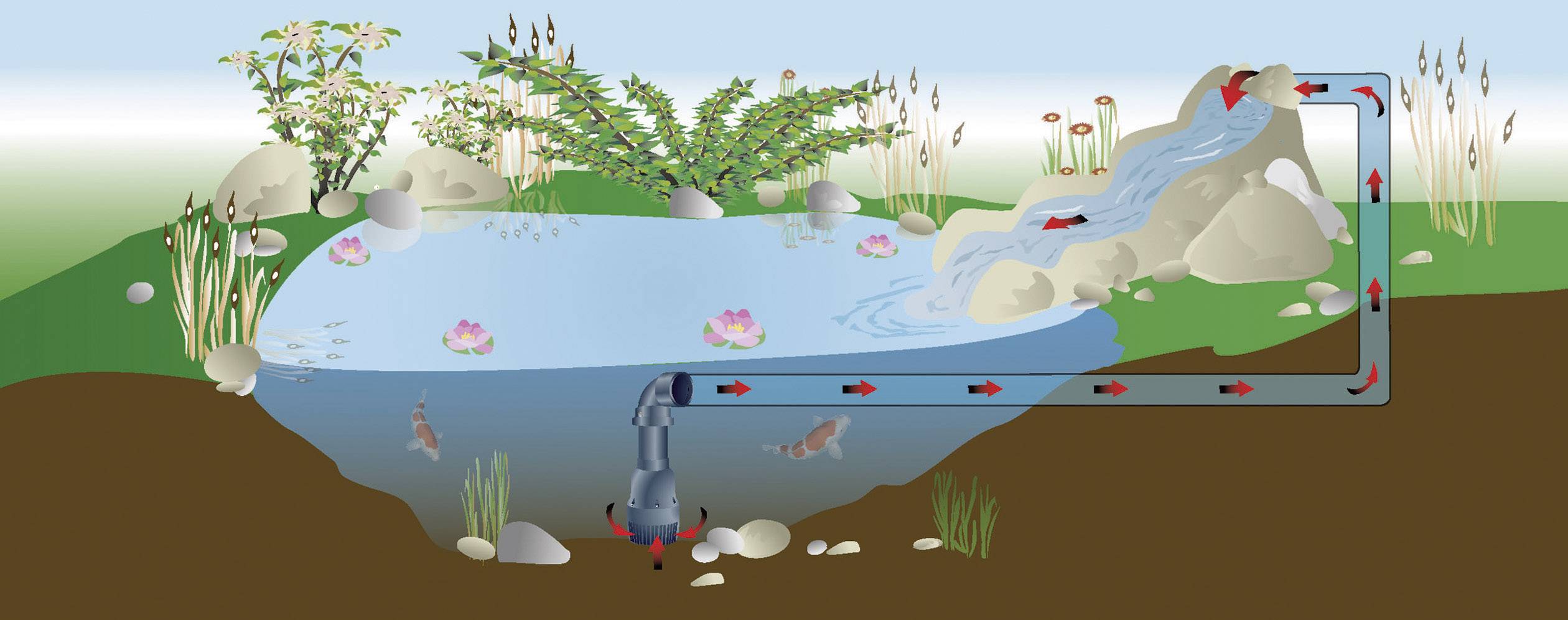 Diagramme d'un cycle de l'eau dans un bassin de jardin. L'eau s'écoule d'un ruisseau dans le bassin, est filtrée et renvoyée par pompage.