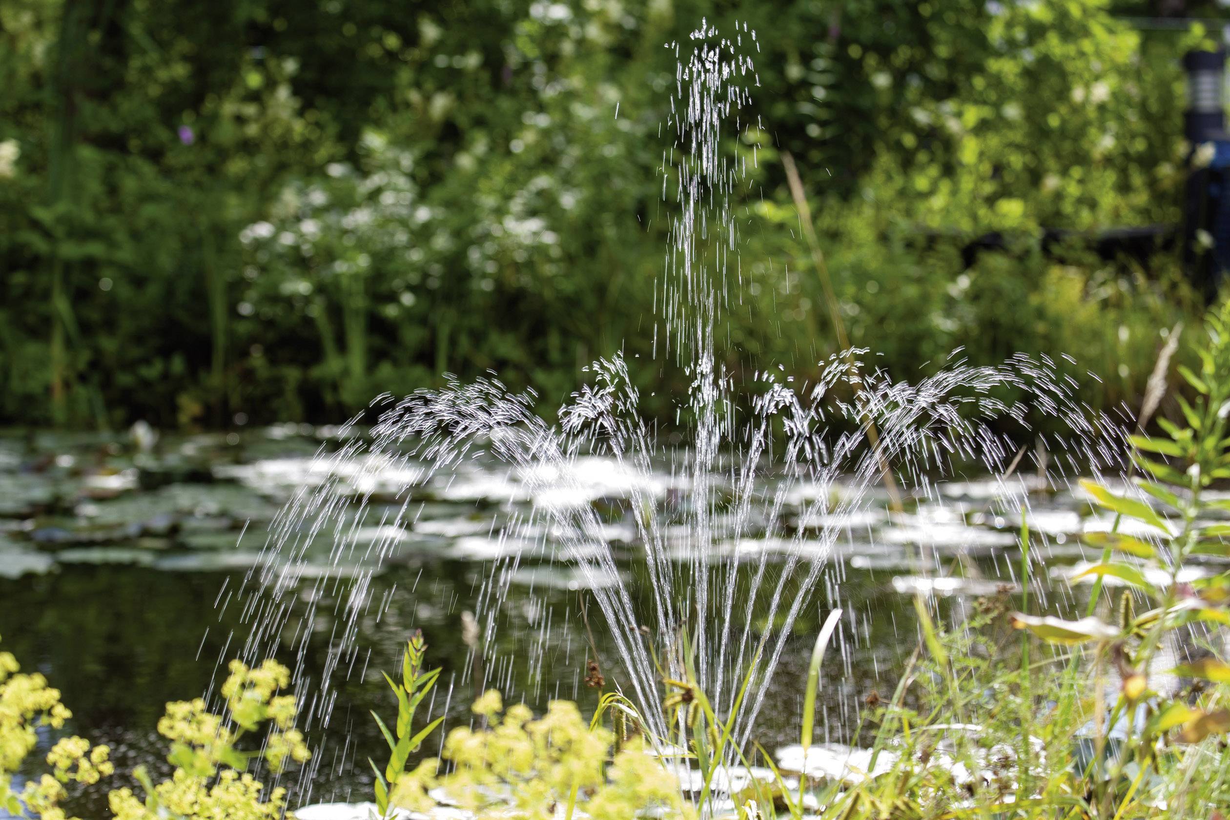 Fontaine de jardin, l'eau jaillit en arcs dans les airs, entourée de végétation verte et de feuillage jaune au premier plan.