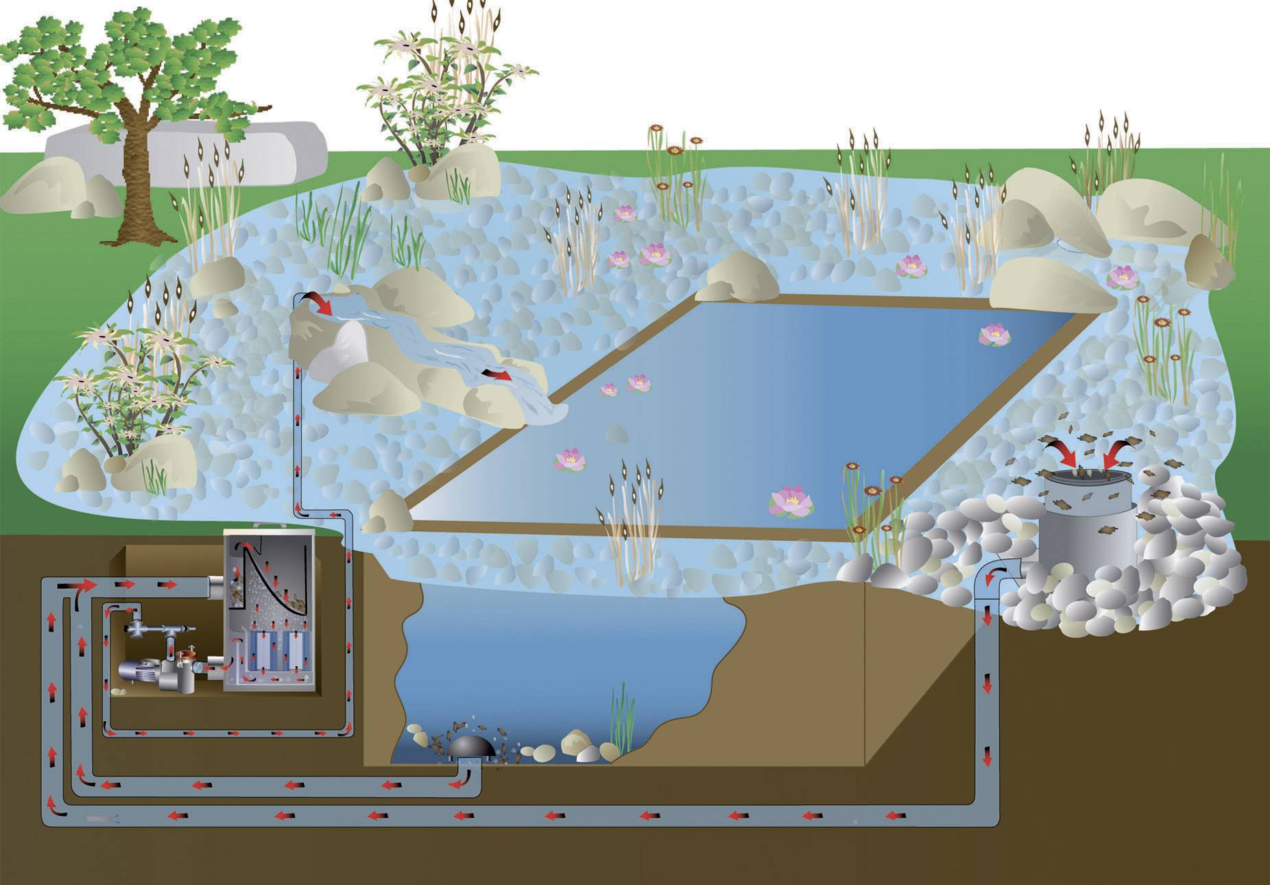 Diagramme d'un système de filtration d'étang avec circulation de l'eau à travers des canalisations vers un récipient filtrant, puis de retour dans l'étang avec des plantes.
