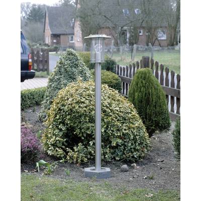 Allée de jardin avec un lampadaire en métal, entourée de haies et d'arbustes colorés, à côté d'une clôture en bois et avec des maisons en arrière-plan.