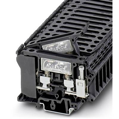 Support de fusibles avec couvercles transparents, deux fusibles dans un boîtier noir. Adapté aux applications électriques.