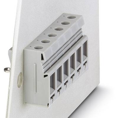 Une borne de connexion électrique grise à six entrées, montée sur une plaque rectangulaire blanche.