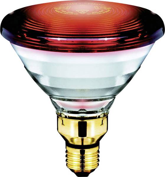 Philips Lighting Ampoule infrarouge E27 150 W (Ø x L) 121 mm x 136 mm
