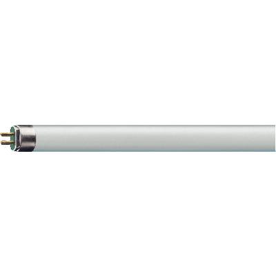 OSRAM Tube fluorescent CEE: F (A - G) G5 14 W blanc chaud 830 forme de tube (Ø x L) 16 mm x 549 mm  1 pc(s)