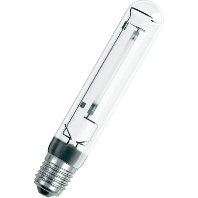 Lampe longue, ampoule cylindrique à culot à vis, en verre transparent révélant l'élément lumineux interne, adaptée à un éclairage spécialisé.