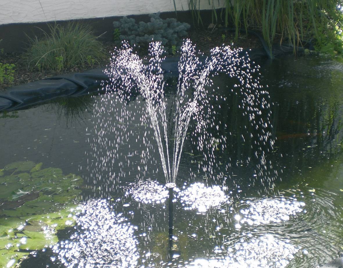 Une fontaine dans un bassin de jardin, entourée de plantes. Des gouttes d'eau jaillissent élégamment, créant un jeu de lumière scintillant.